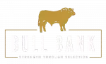 BullBankLogoSmall_Trans