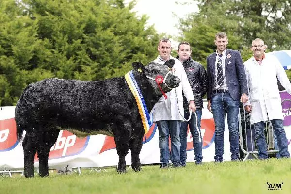 Congratulations to the Oldcaslte All Ireland Beef Heifer Finalist, sponsored by ABP Food Group. Winner Derek McKinney (Pictured L-R) Keith McKinney, Oisin Lynch ABP, Chris Johnton Judge, Sean O'Brien