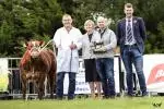 The Carl Gilsenan Best continental cross female calf congratulations to the inaugural Winner of this new class Derek McKinney 2023